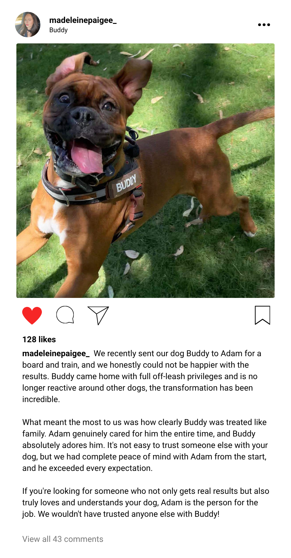 Buddy's Testimonial