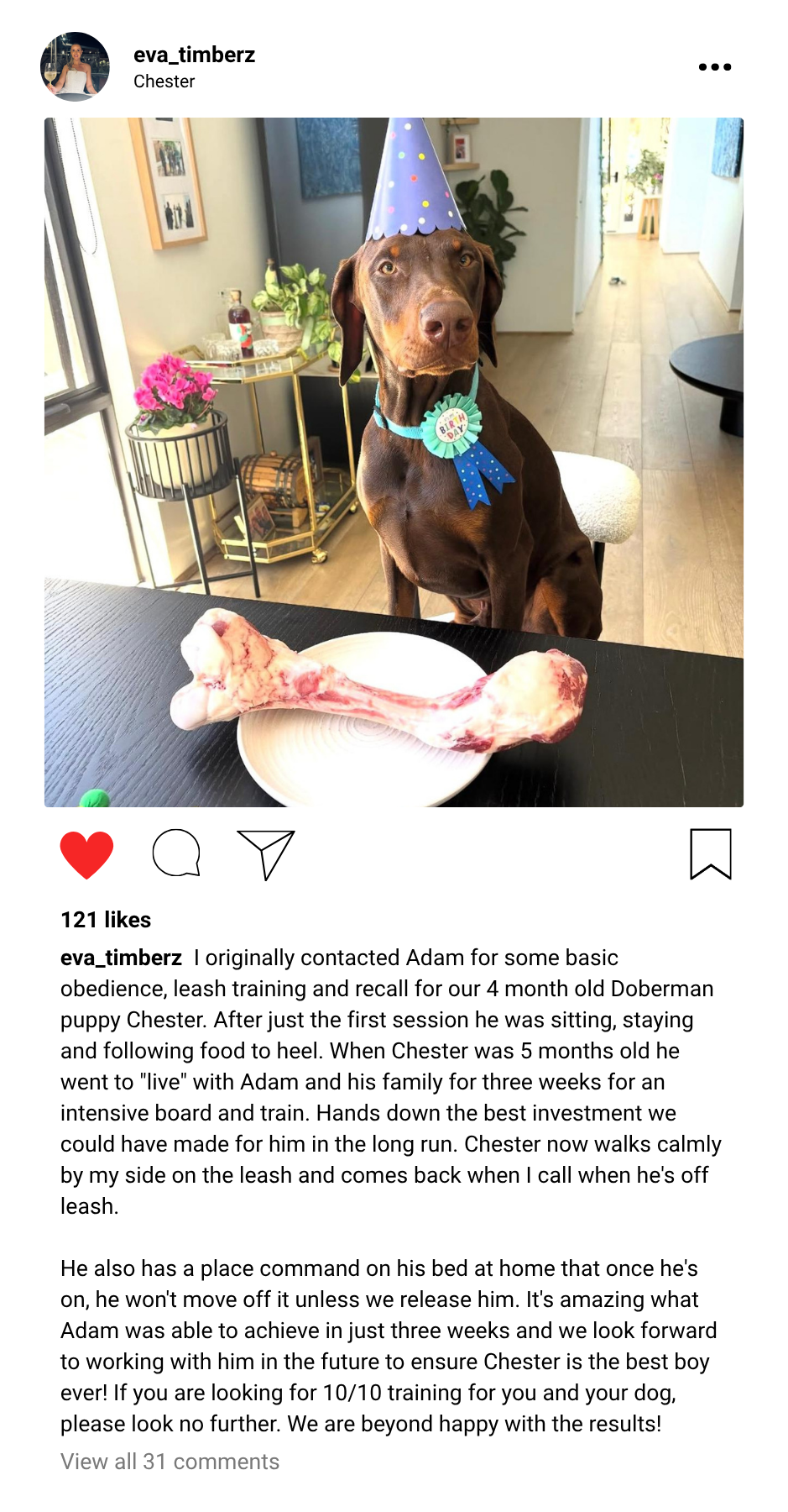 Chester's Testimonial