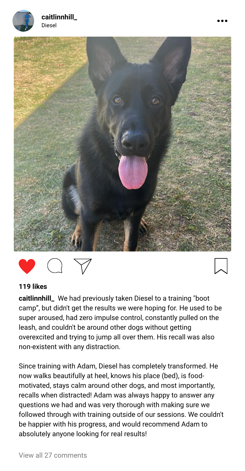 Diesel's Testimonial