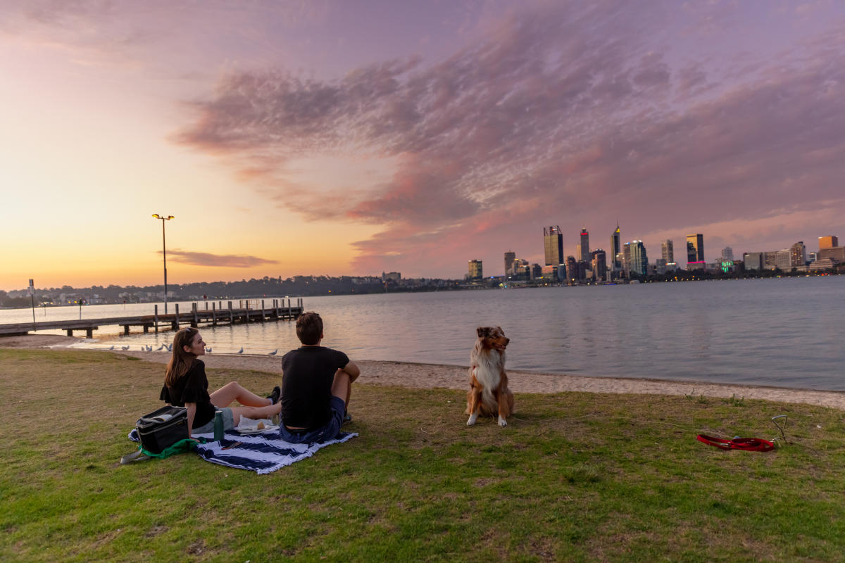 Happy dog running on South Perth foreshore